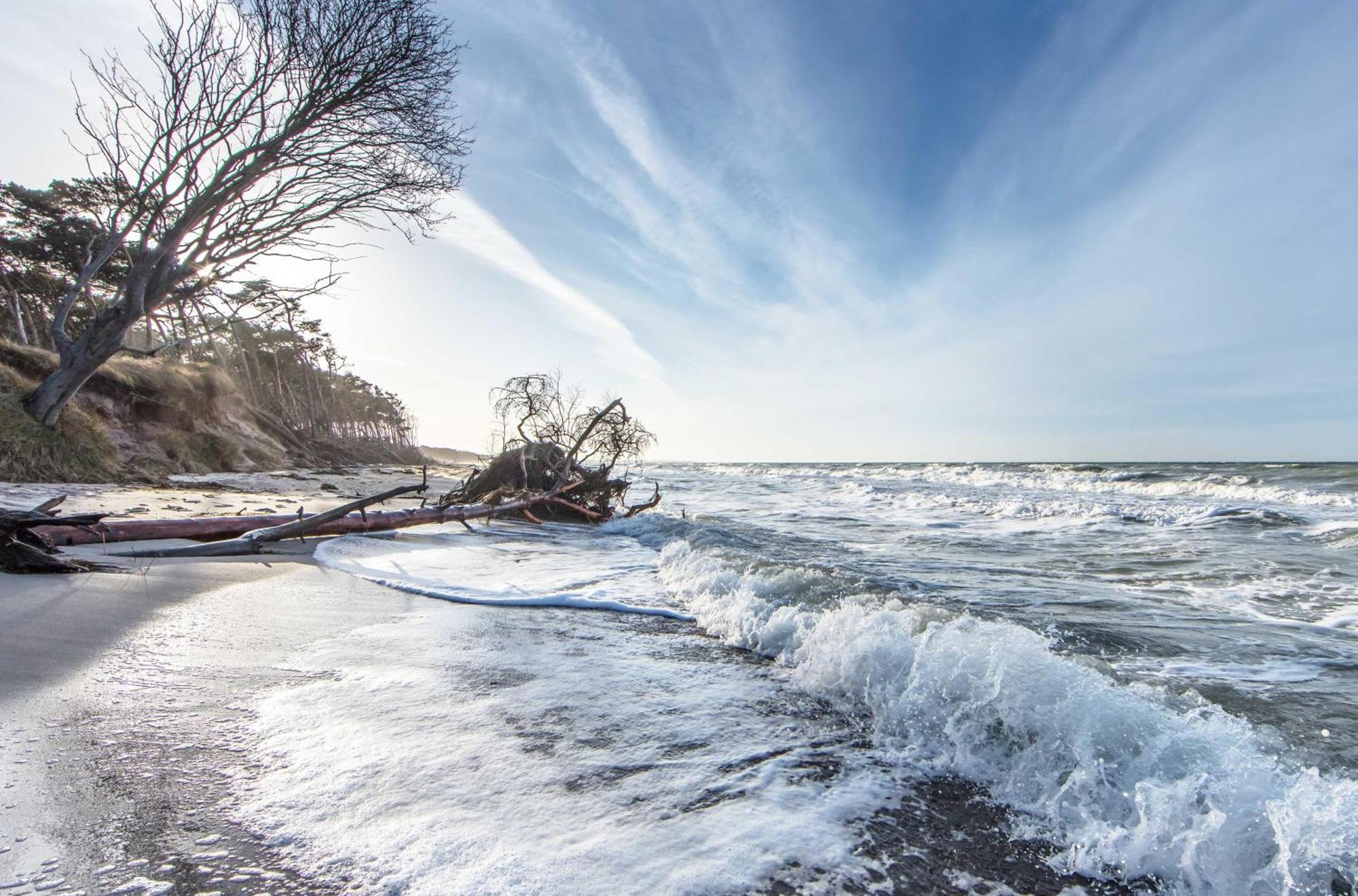 Kranichtanz An Der Seebruecke Zingst Eksteriør bilde