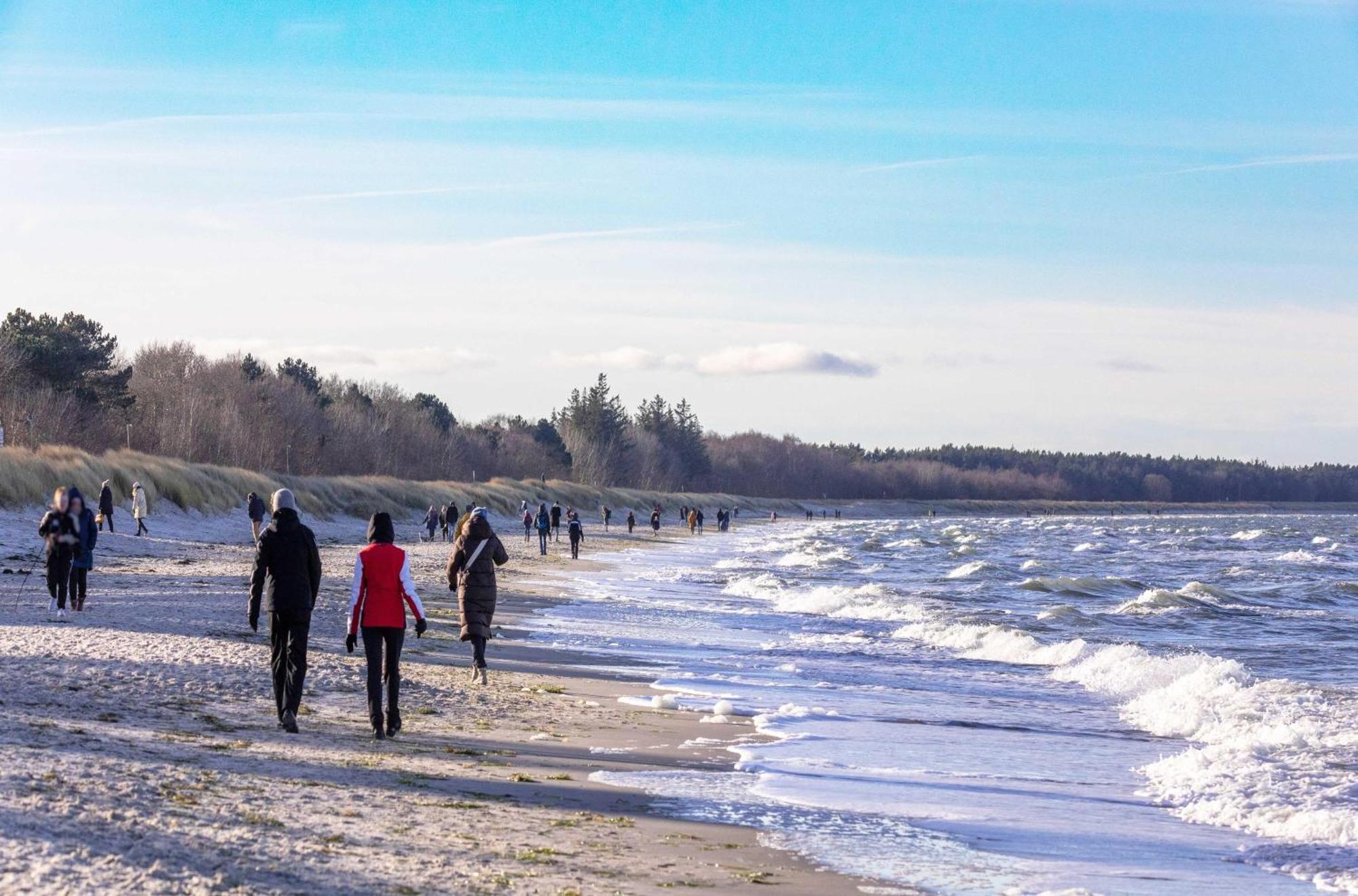 Kranichtanz An Der Seebruecke Zingst Eksteriør bilde